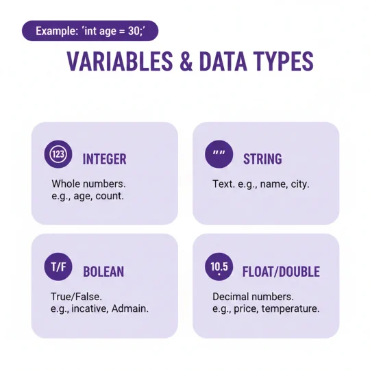 variables and data types